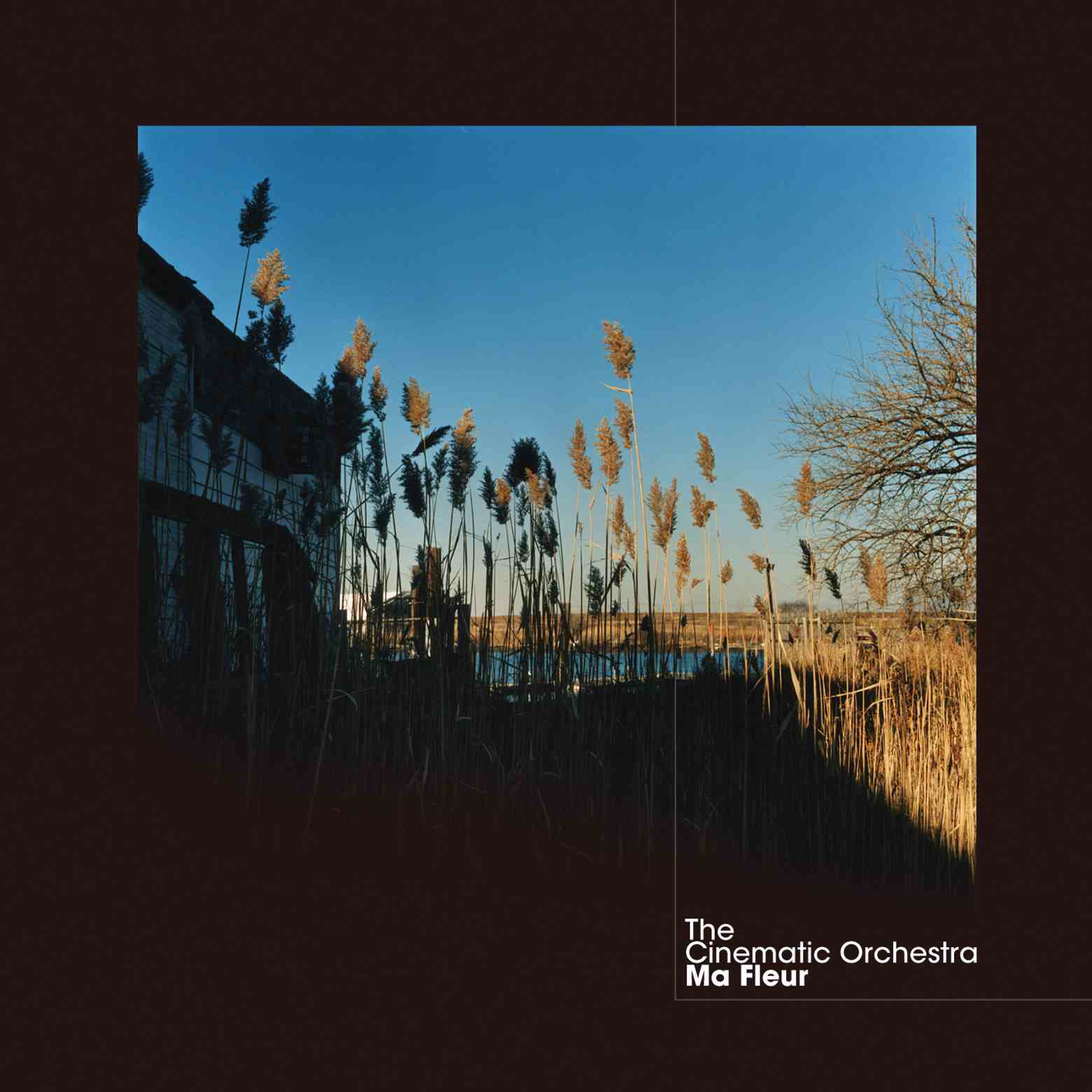 The Cinematic Orchestra | Ma Fleur | CD