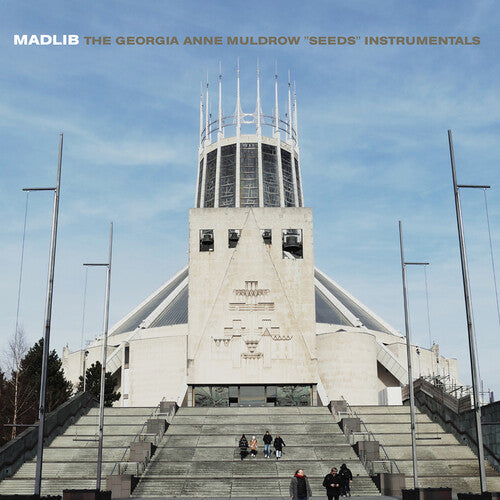 Madlib - Seeds (Instrumentals) | Vinyl