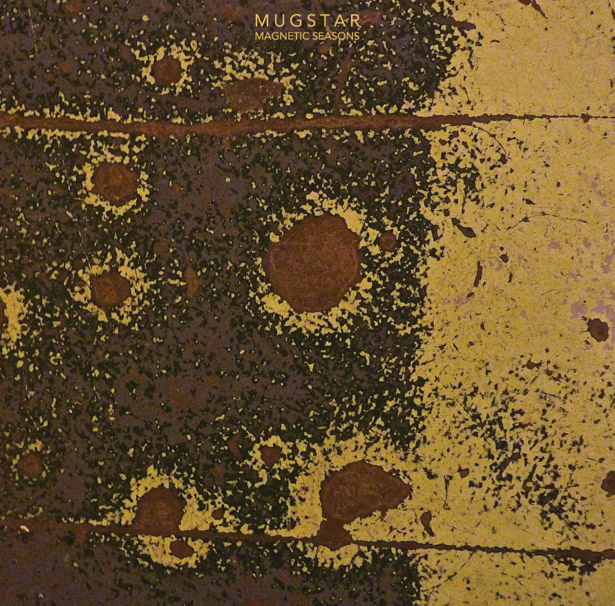 Mug Star - Magnetic Seasons | Vinyl