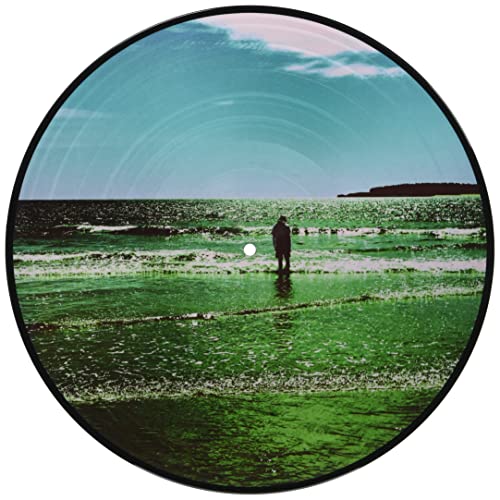 Manic Street Preachers - Ultra Vivid Lament (Picture Disc Vinyl) [Import] | Vinyl