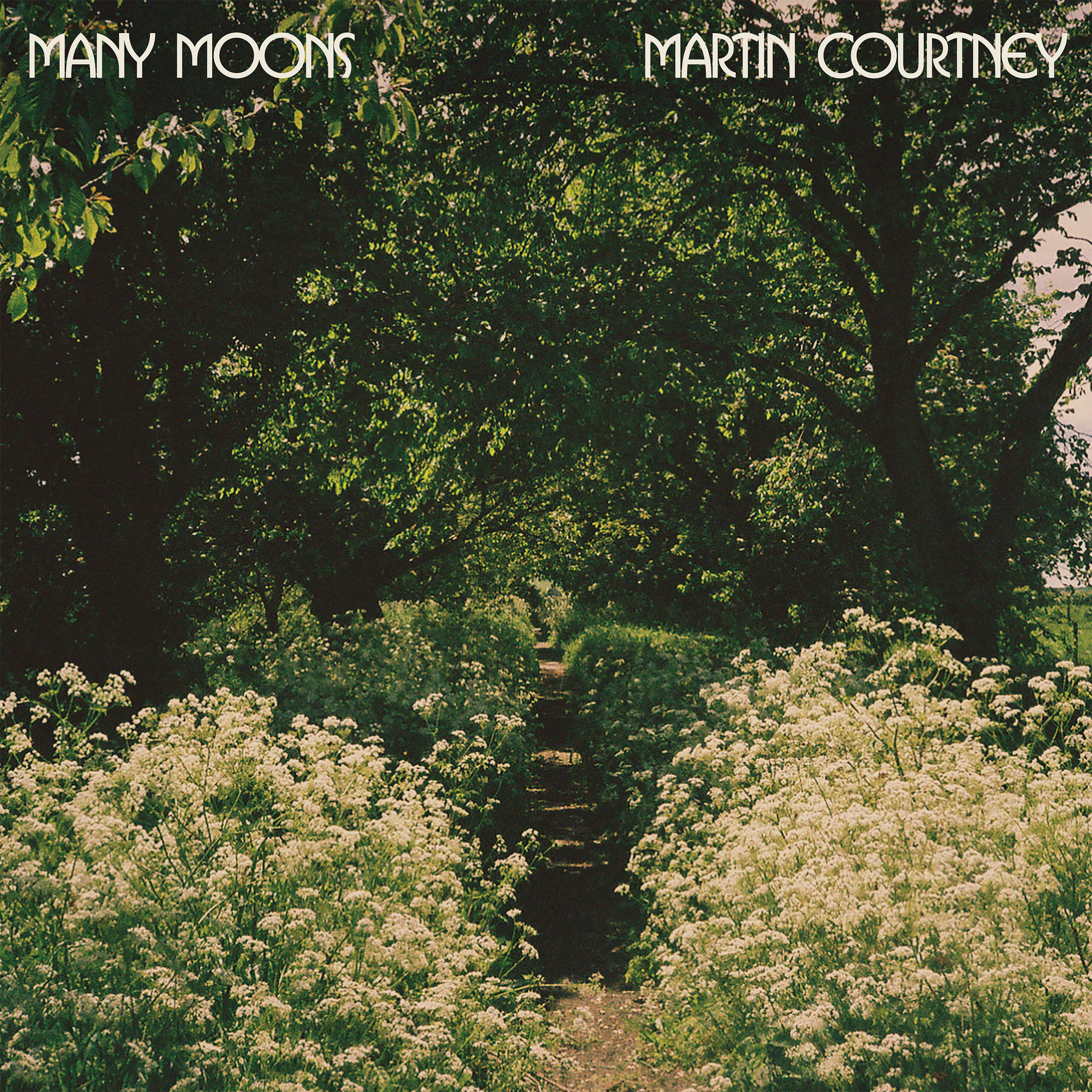 Martin Courtney | Many Moons | Vinyl