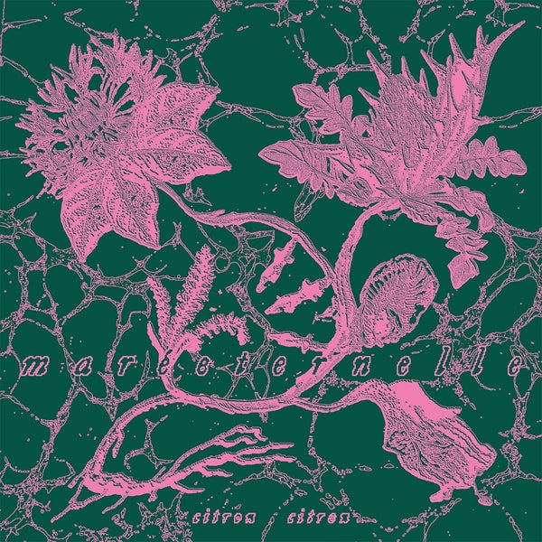 Citron Citron - Mareeternelle | CD