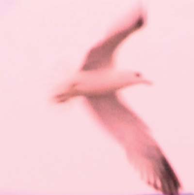 JULIA HOLTER - Maria/2HB | Vinyl