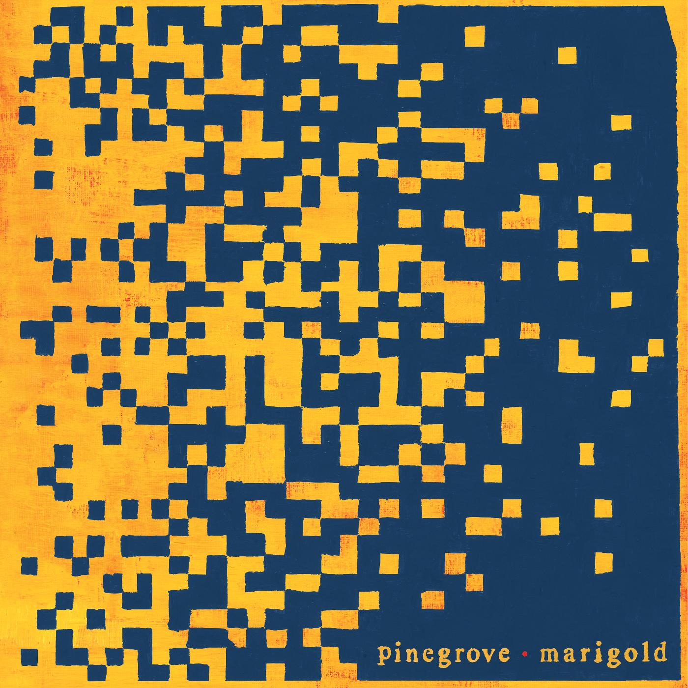 Pinegrove | Marigold | Cassette