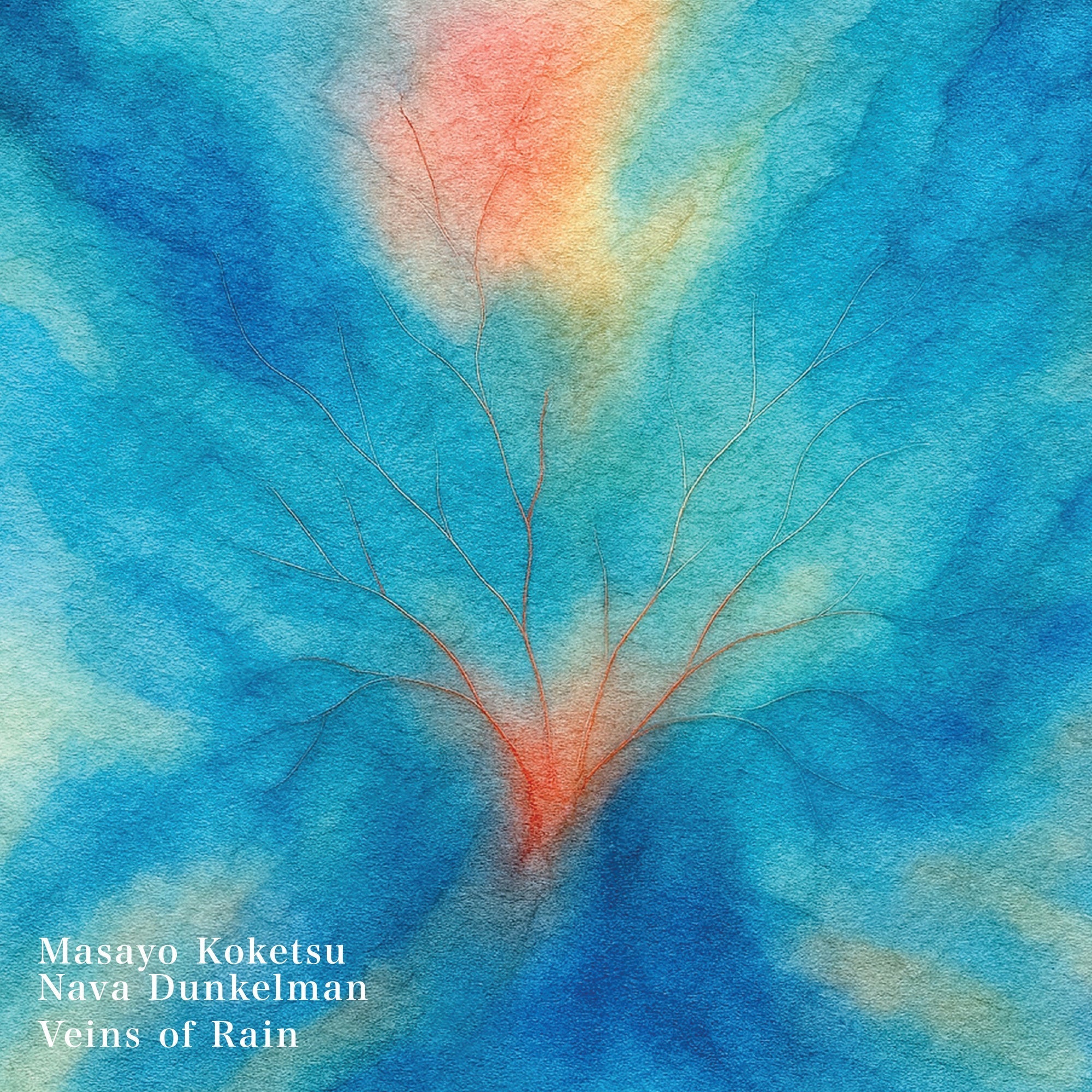 Masayo Koketsu | Veins Of Rain | CD