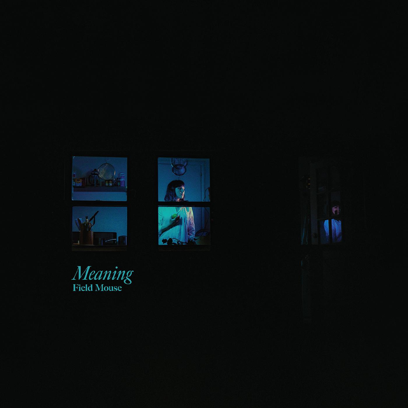 Field Mouse | Meaning | Vinyl