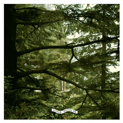 FERREIN - Meeting Sea | Vinyl