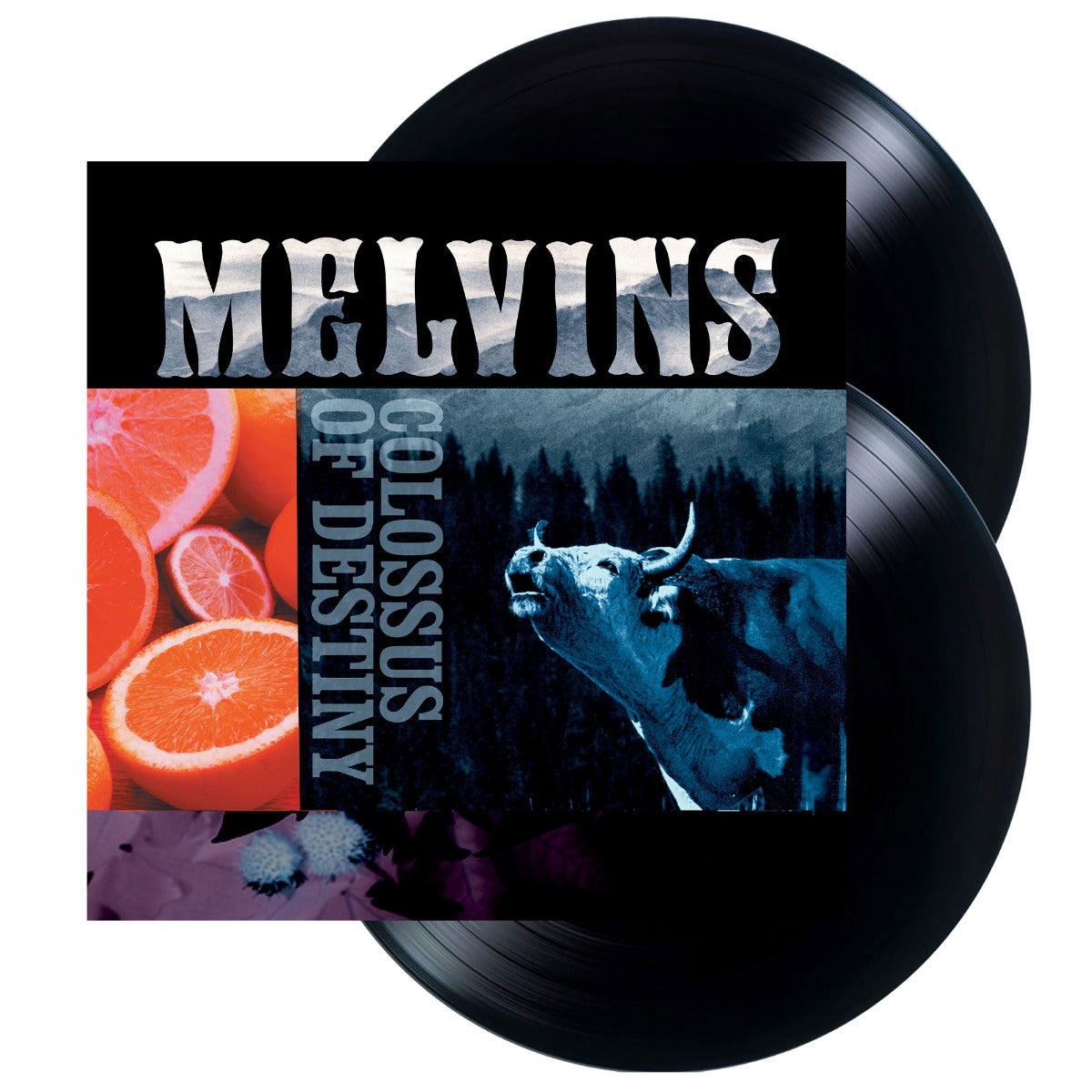 Melvins - Colossus Of Destiny (2LP Vinyl Reissue) | Vinyl