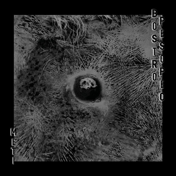 BOSTRO PESOPEO - Meti | Vinyl