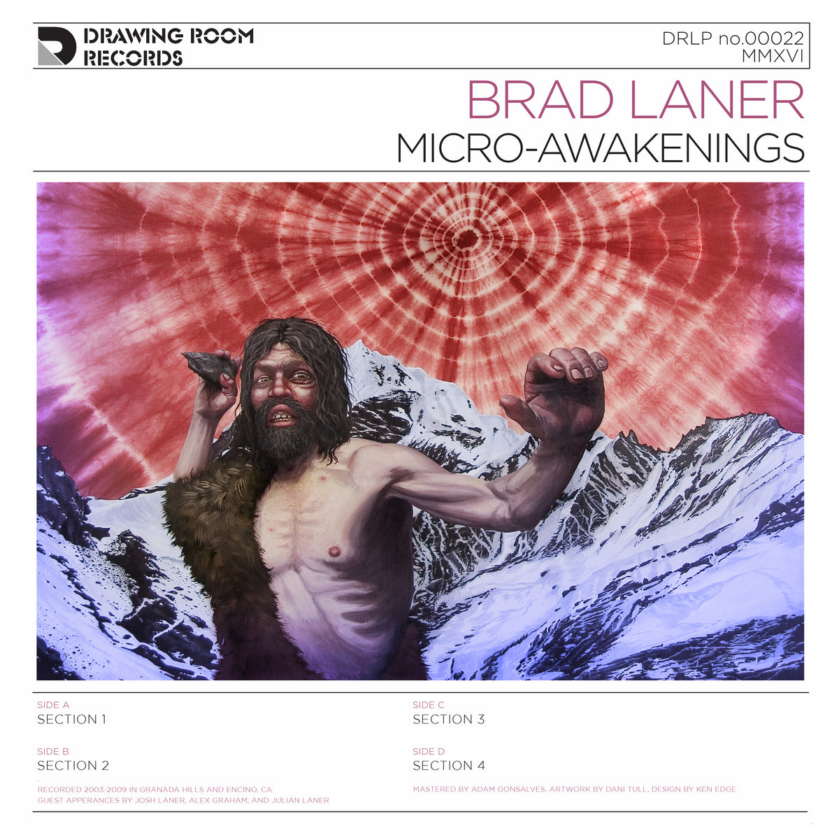 Brad Laner - Micro-Awakenings | Vinyl