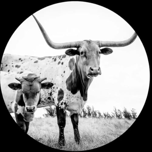 Mike Flanigin - West Texas Blues | Vinyl