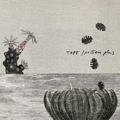 TAPE - Milieu Plus | CD