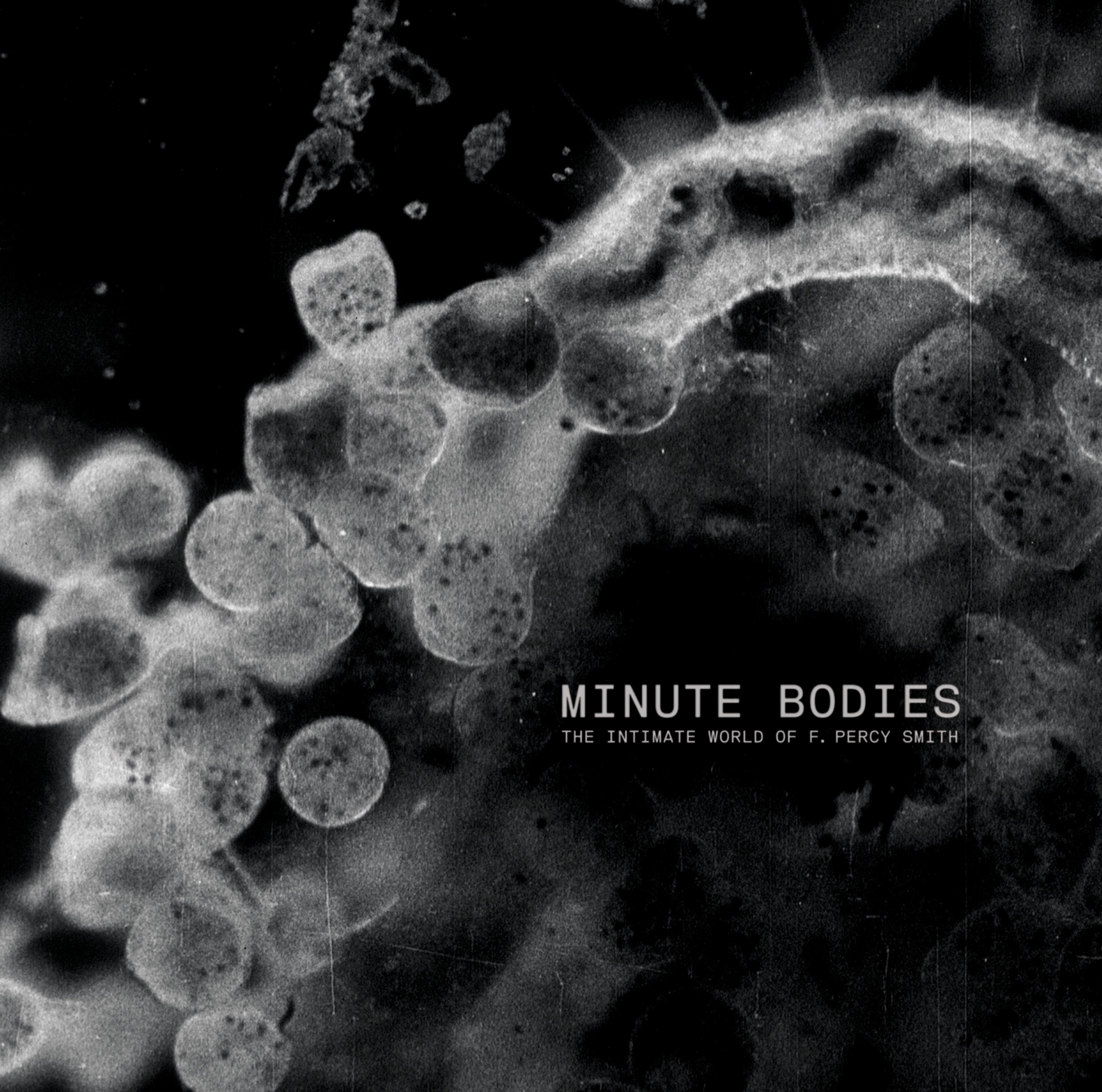 Tindersticks | Minute Bodies: The Intimate World of F. Percy Smith | CD