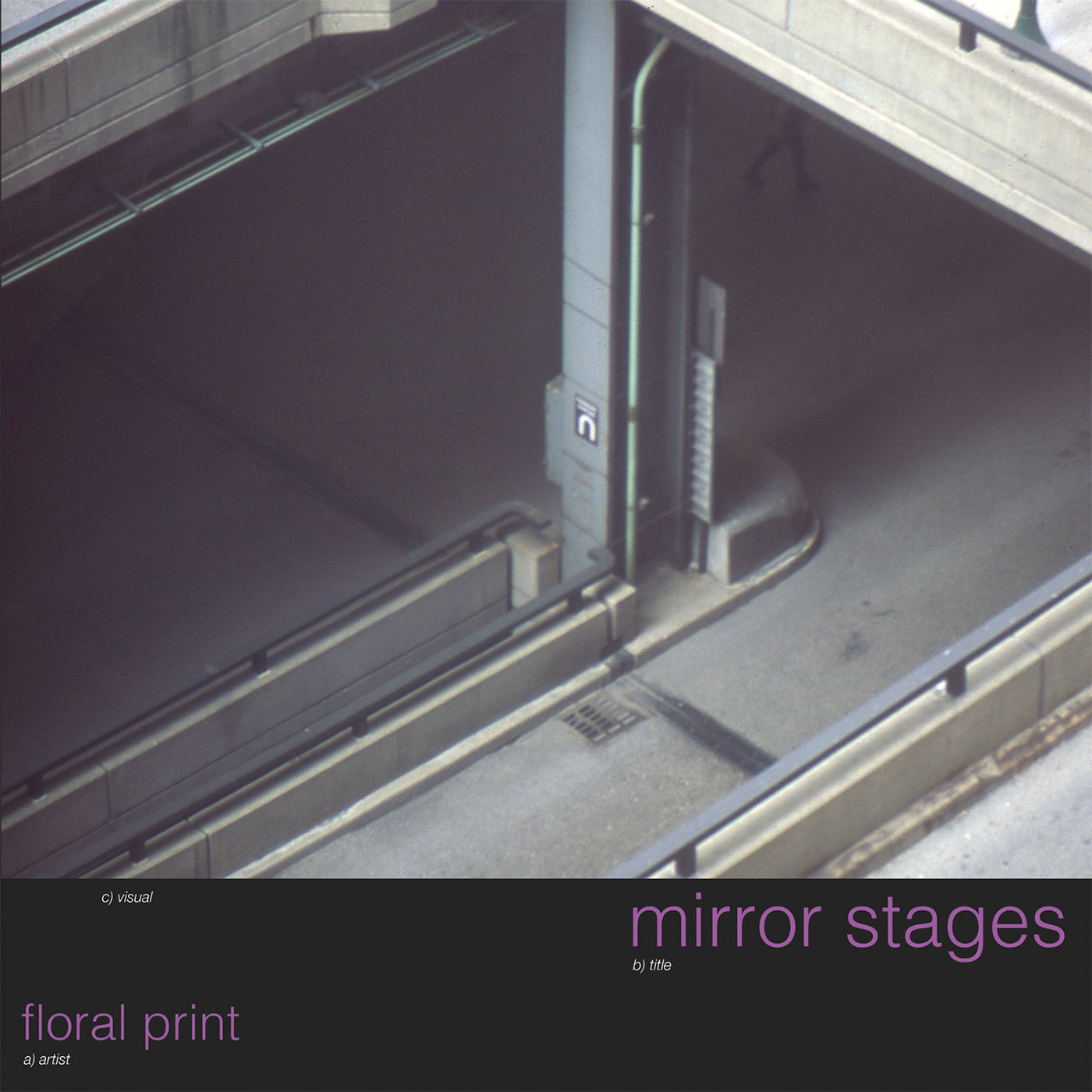 Floral Print | mirror stages (TRANSLUCENT CANDY GRAPE PURPLE VINYL) | Vinyl