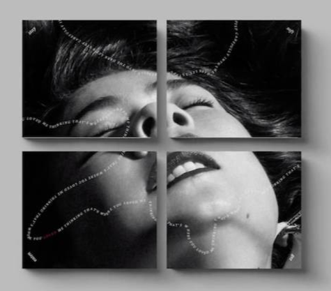 Mitski - Laurel Hell (Stay Version) | CD