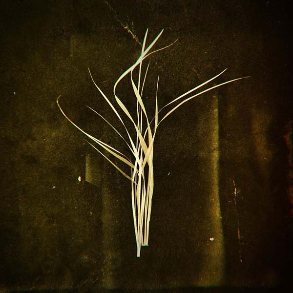LUMISOKEA - Mnemosyne | Vinyl