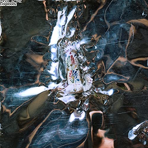 Model/Actriz - Dogsbody [LP] | Vinyl