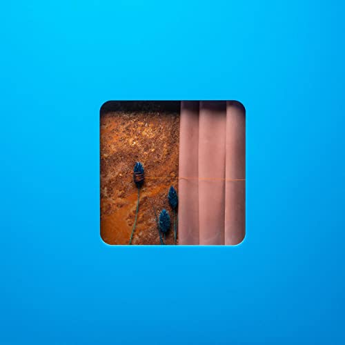 Modern Error - Victim Of A Modern Age (2 Lp's) | Vinyl