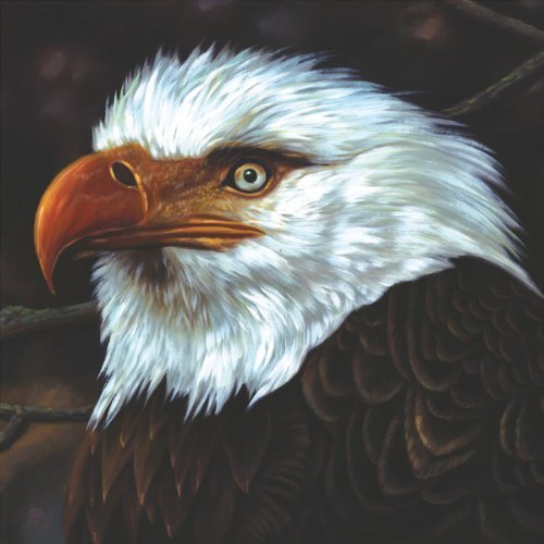 Mogwai - The Hawk Is Howling | CD