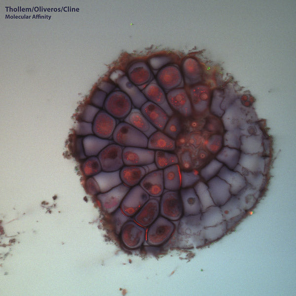 THOLLEM MCDONAS/PAULINE OLVEROS/NELS CLINE - Molecular Affinity | Vinyl