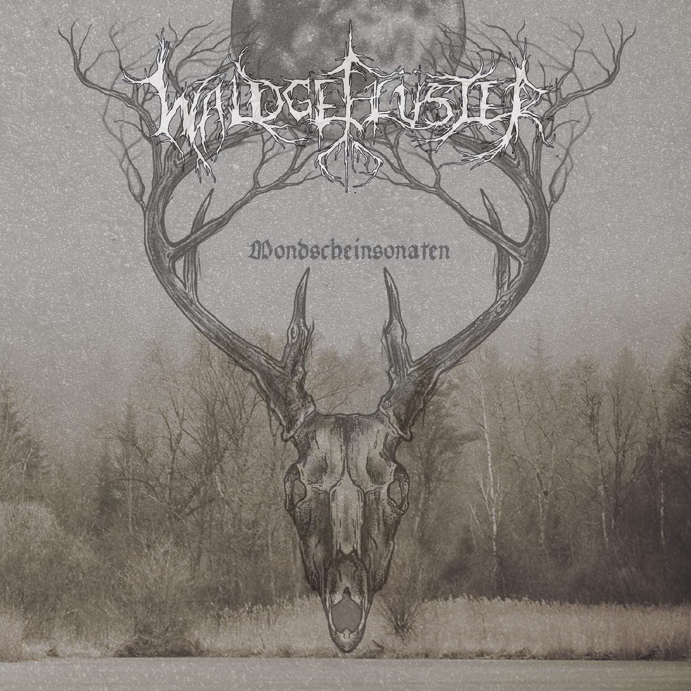 Waldgefl¸ster - Mondscheinsonaten | CD