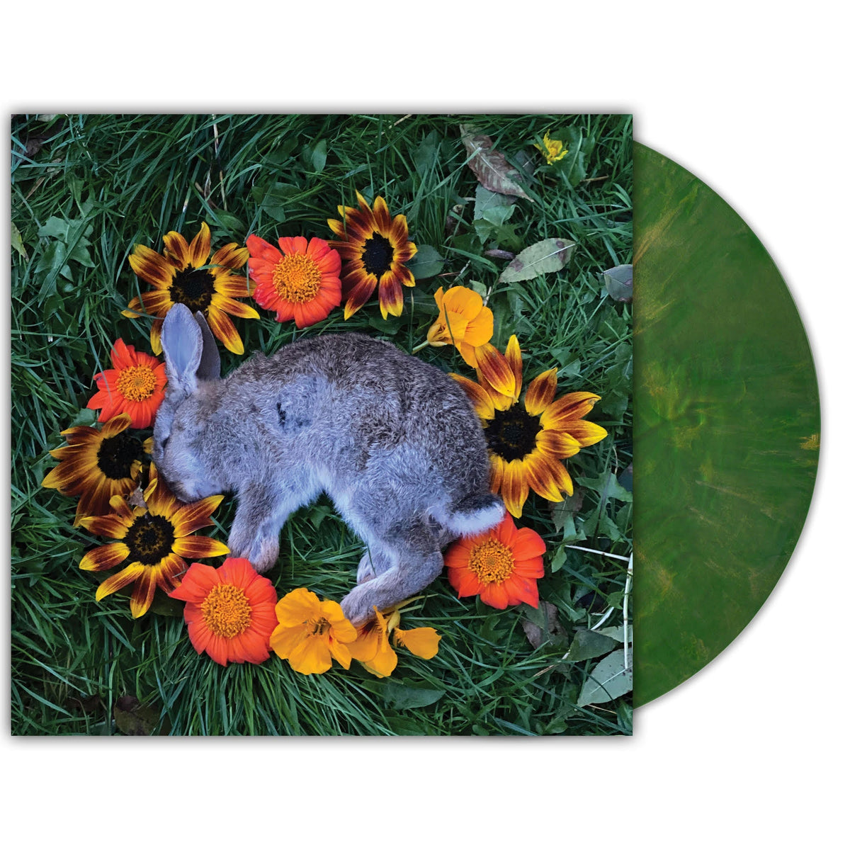 Monolord - Your Time To Shine [Copper Emerald Vinyl] | Vinyl