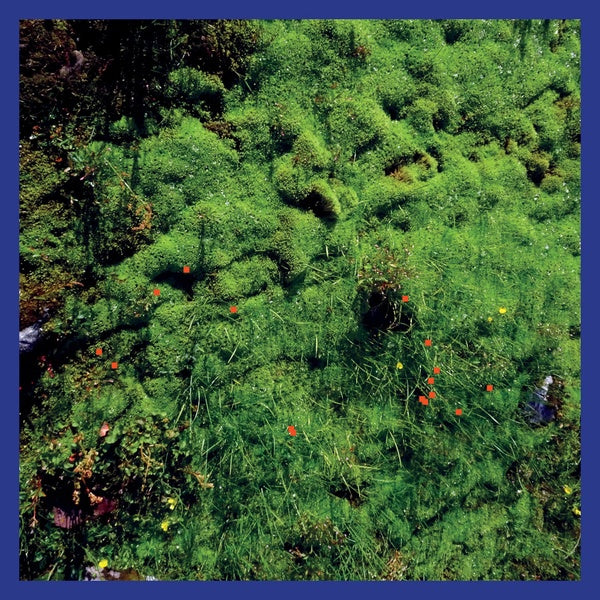 MATTHIAS PUECH - Mt. Hadamard National Park | Vinyl