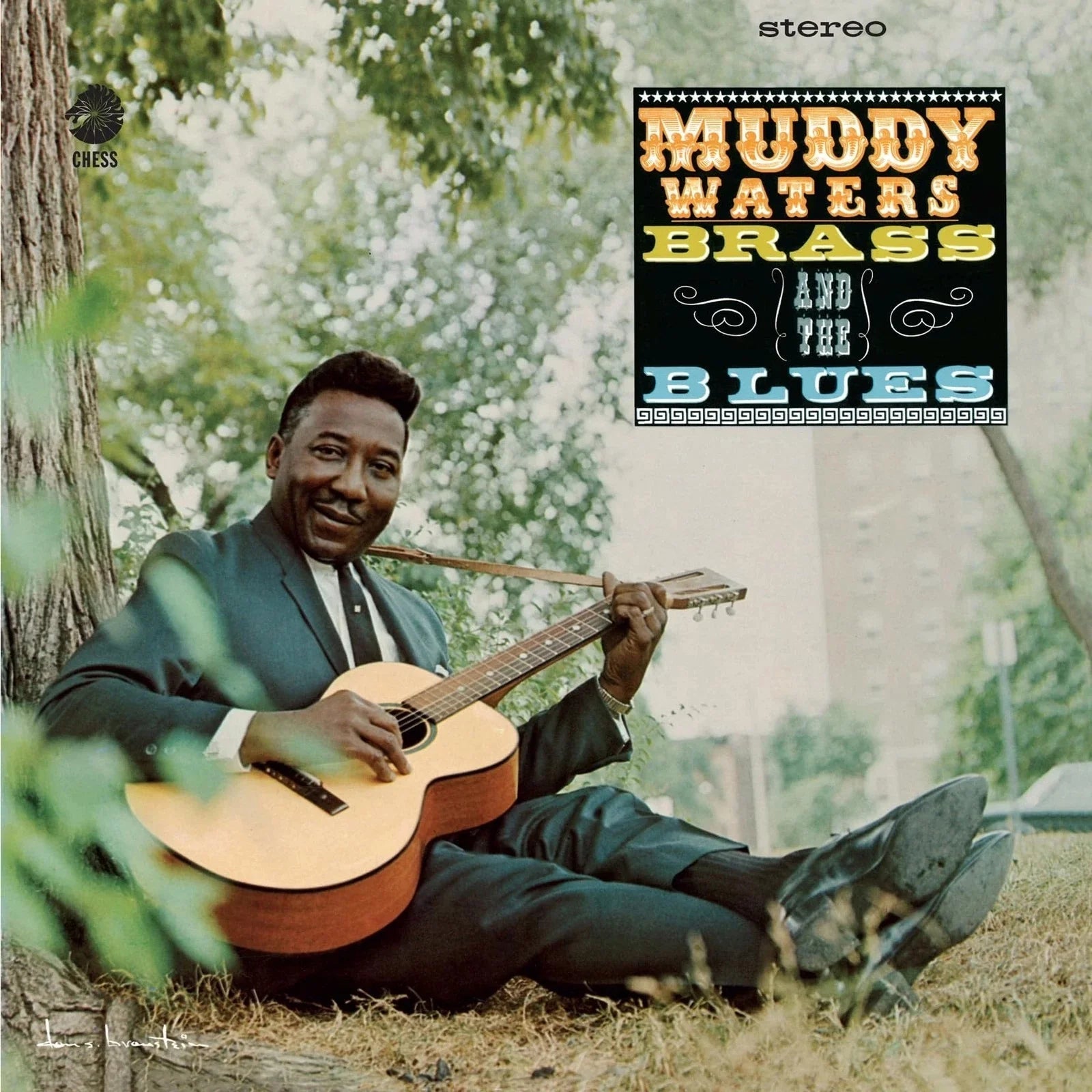 Muddy Waters - Muddy, Brass And The Blues (Chess Acoustic Sounds Series) [180G LP] | Vinyl