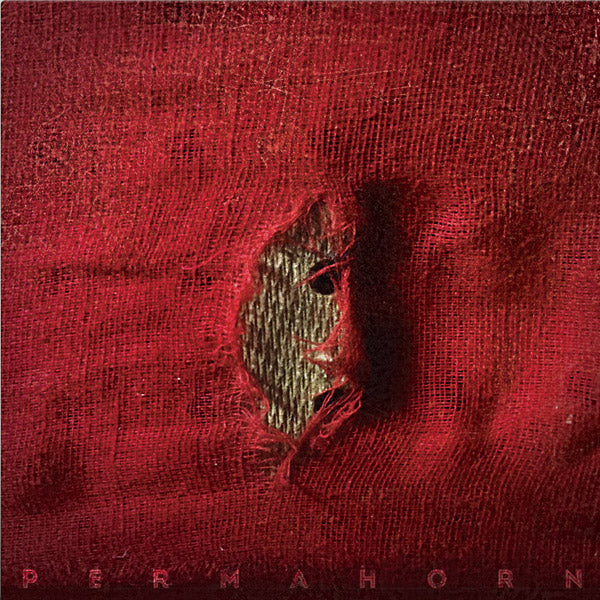 PERMAHORN - My Blood Carries My Dreams Away | CD