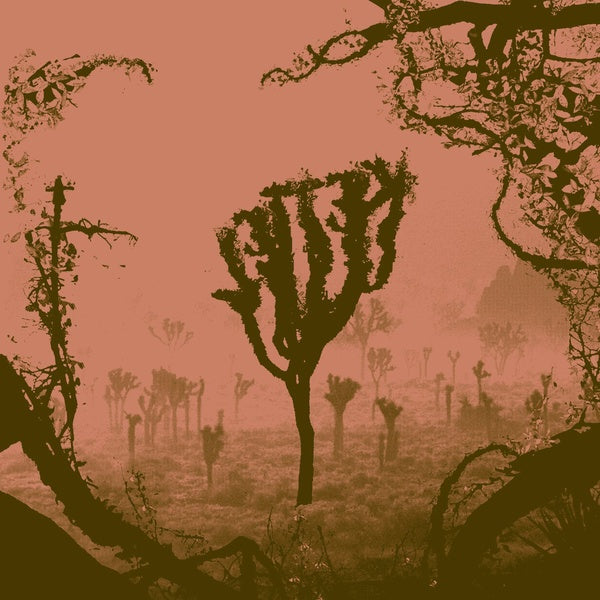 KETTEL - My Dogan | Vinyl