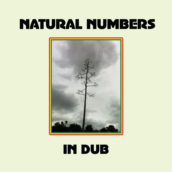 Natural Numbers | Natural Numbers in Dub | Vinyl