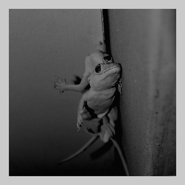 LASSE MARHAUG/JON WESSELTOFT - Nature Lovers | Vinyl