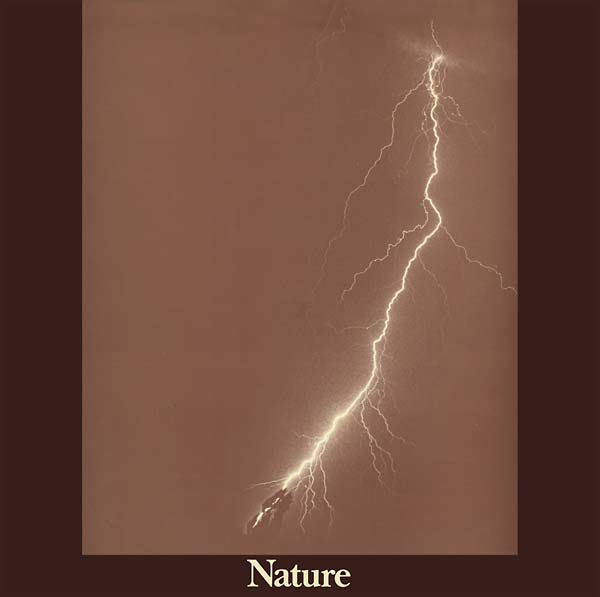 NATURE - Nature | Vinyl