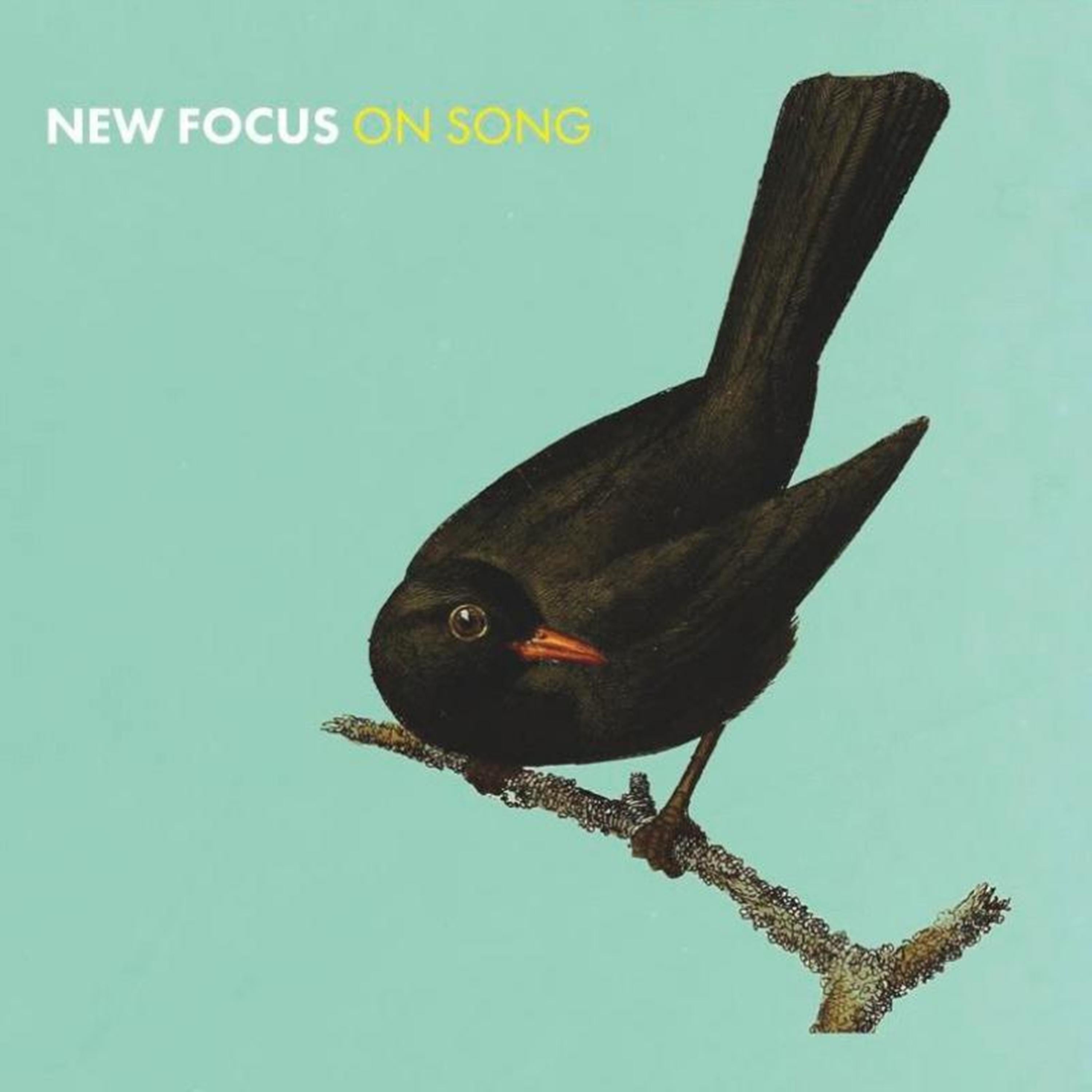 Euan & Wiszniewski Stevenson - New Focus On Song | CD
