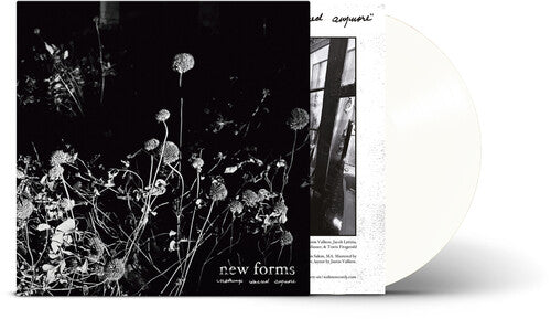 New Forms - Nothing'S Sacred Anymore [Clear Vinyl] | Vinyl