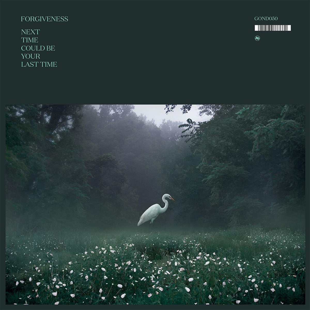 Forgiveness - Next Time Could Be Your Last Time (TRANSPARENT CLEAR VINYL) | Vinyl