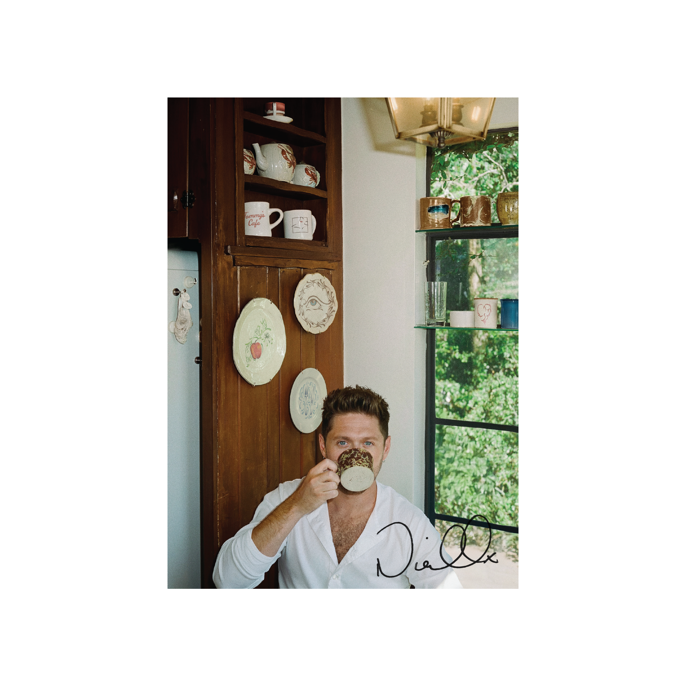 Niall Horan - Dinner Party (Signed Insert) [Porcelain LP] | Vinyl