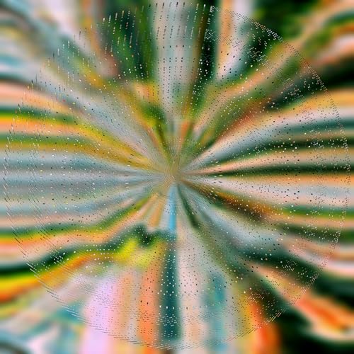 Nils Hoffman - Everlight | Vinyl