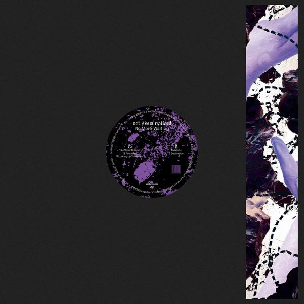 NOT EVEN NOTICED - No More Waiting | Vinyl