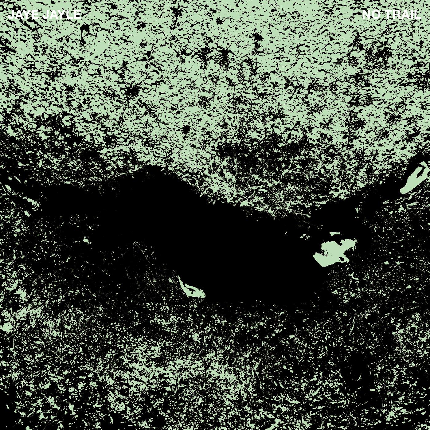 Jaye Jayle | No Trail and Other Unholy Paths | Vinyl