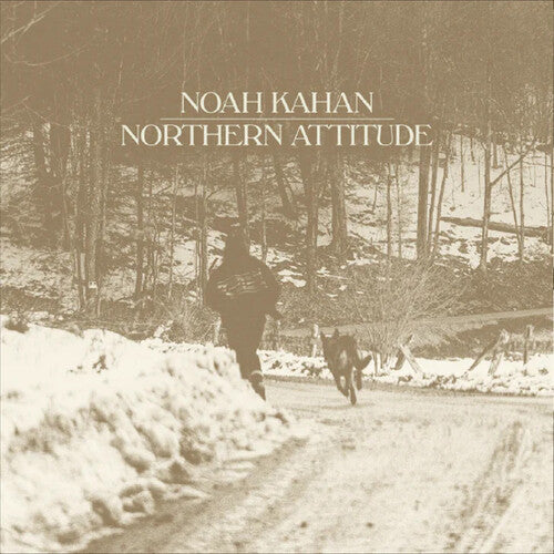 Noah Kahan - Northern Attitude (Black Ice Colored Vinyl with Poster) (7" Single) [Import] | Vinyl