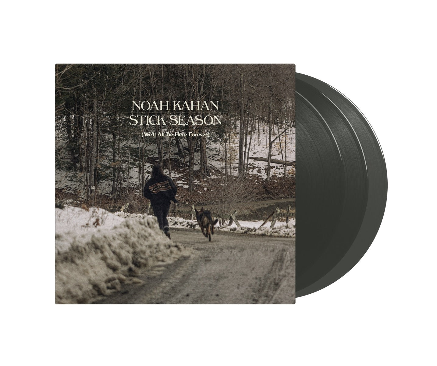 Noah Kahan | Stick Season (We'll All Be Here Forever) (Black Ice Colored Vinyl) (3 Lp's) | Vinyl