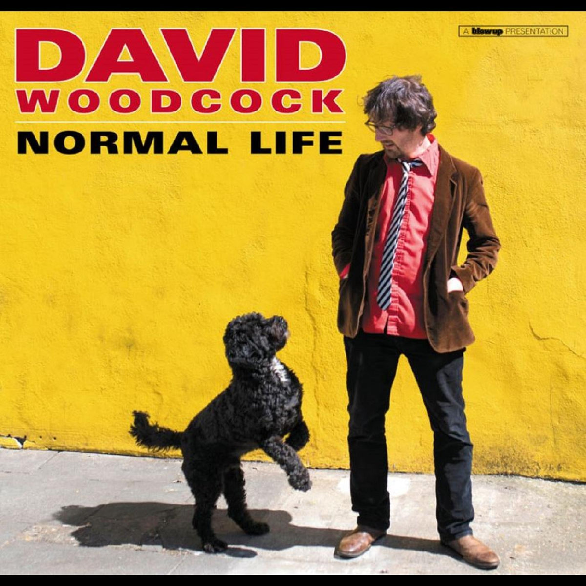 David Woodcock - Normal Life | CD