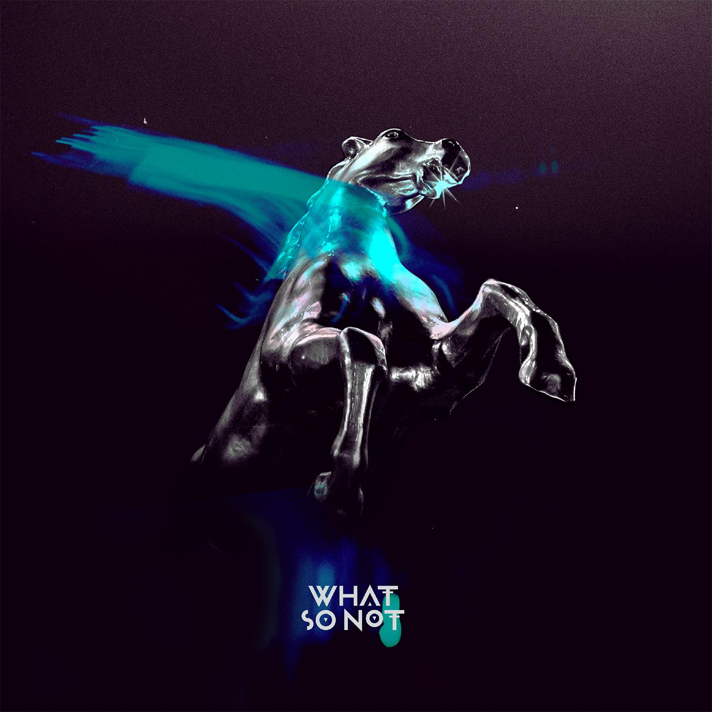 What So Not - Not All The Beautiful Things | CD