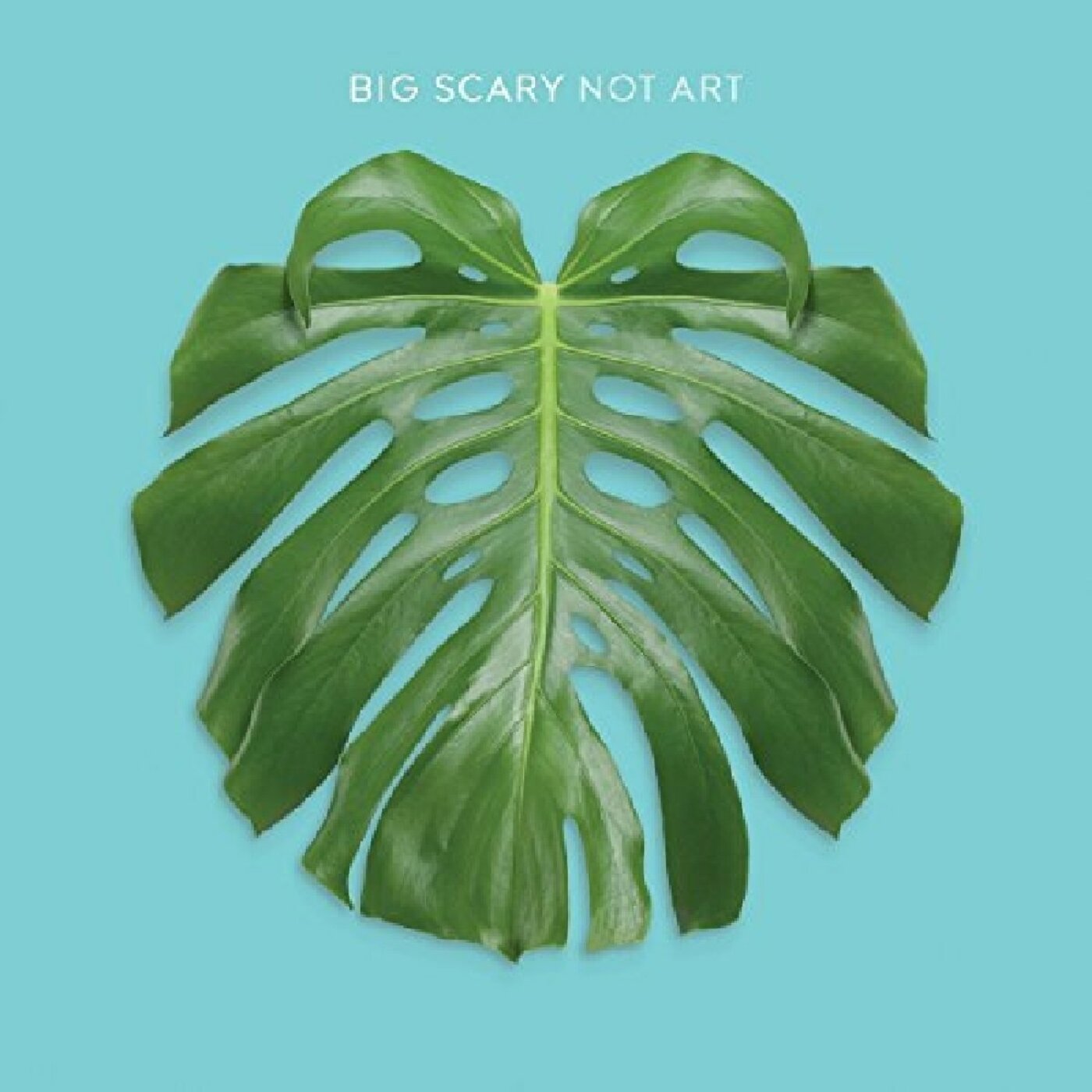 Big Scary | Not Art | Vinyl