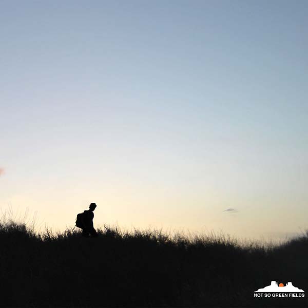 DUSTY KID - Not So Green Fields | Vinyl
