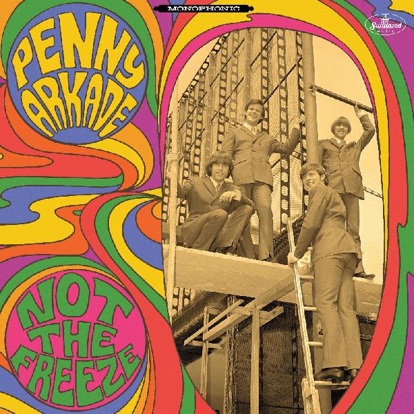 Penny Arkade | Not The Freeze (GREEN & PURPLE VINYL) | Vinyl
