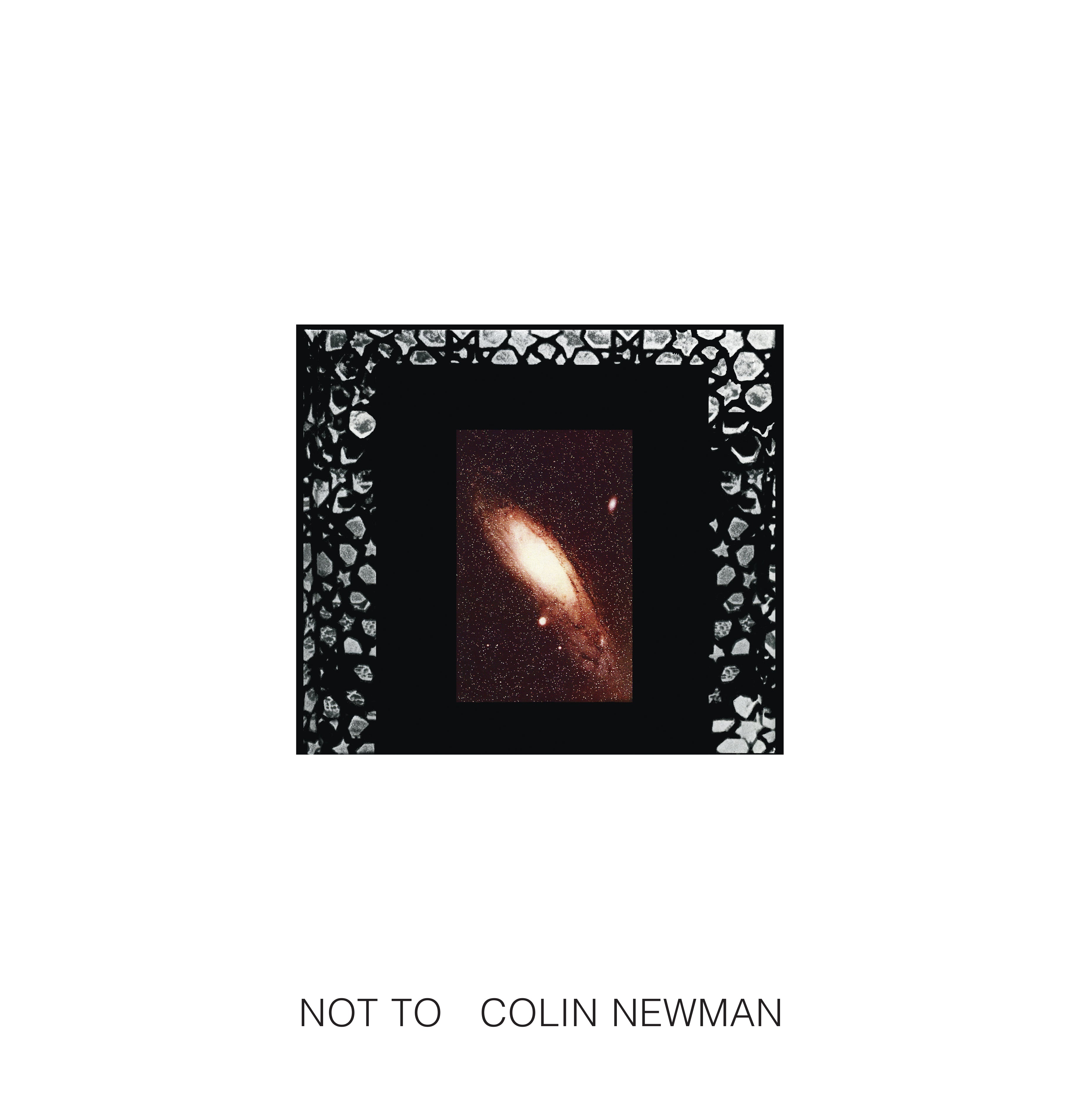 Colin Newman | Not To | Vinyl