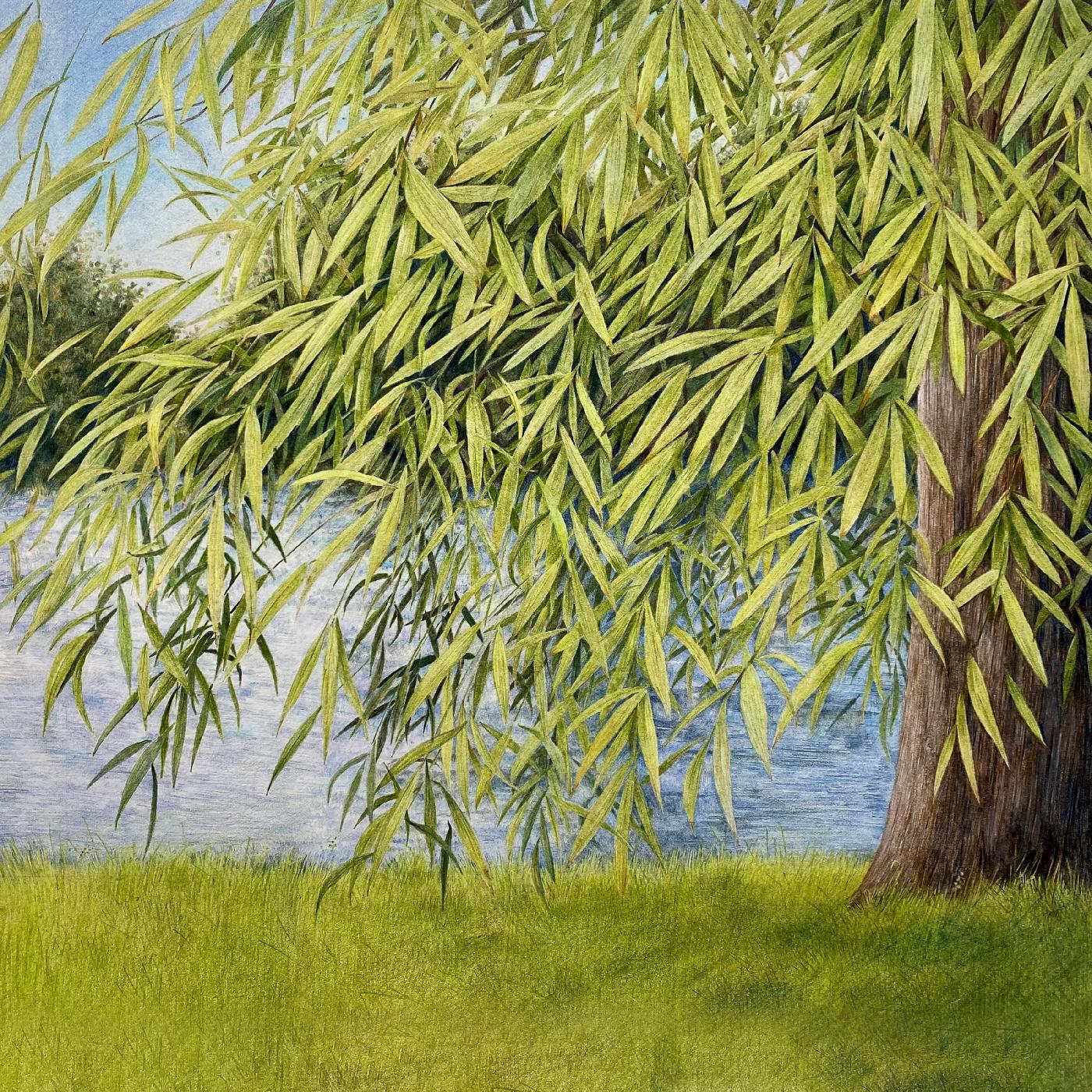 Martin & Thomm Jutz Simpson - Nothing But Green Willow : The Songs Of Mary Sands And Jane Gentry | CD