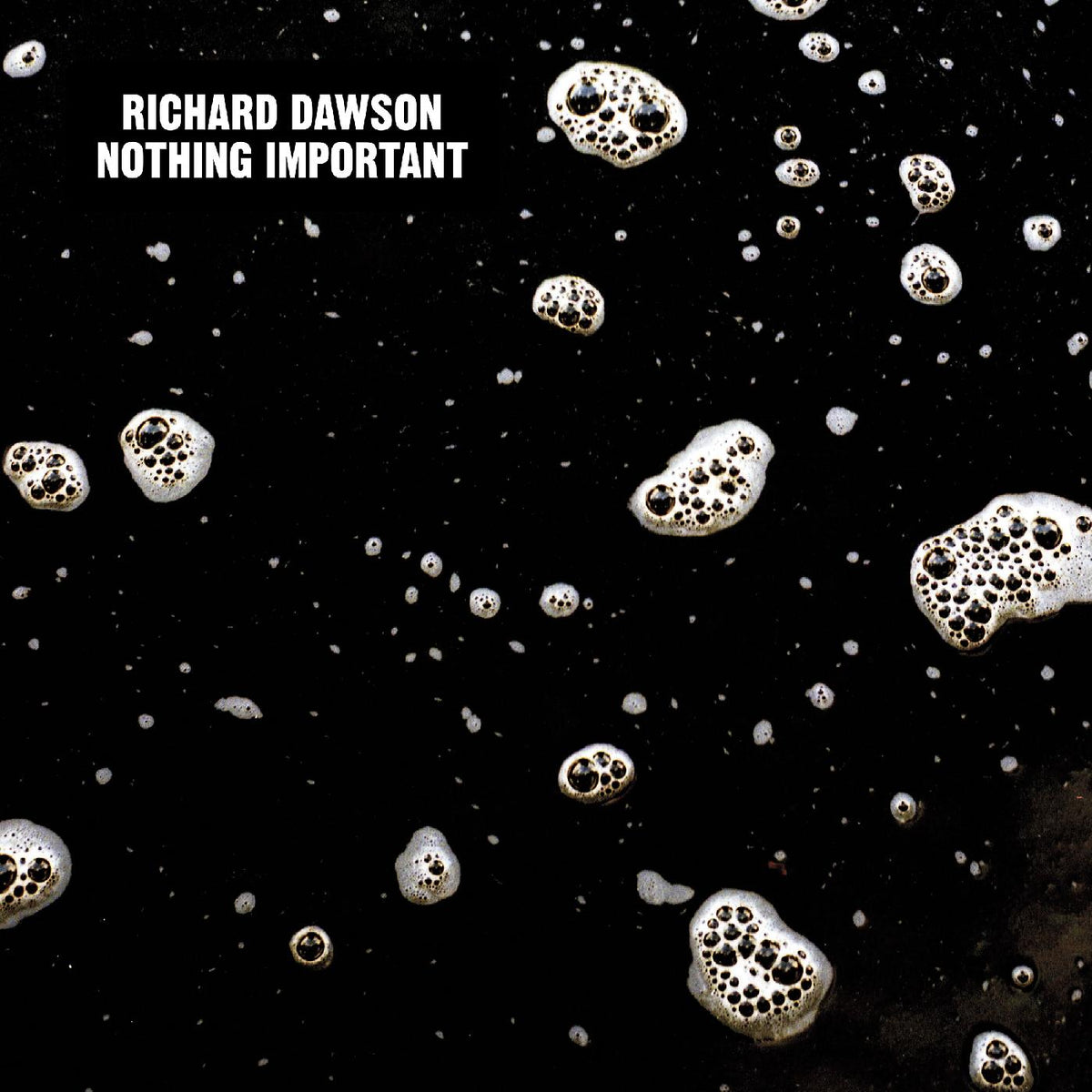 Richard Dawson - Nothing Important | CD